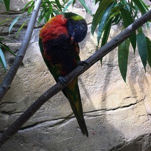 Meet your Posher, Heidi